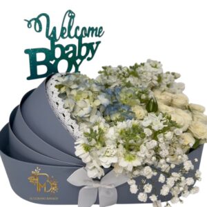 Welcome Baby Boy