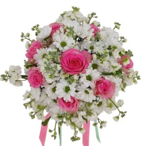 Gentle Bloom