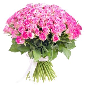 Pink Universe 100 roses