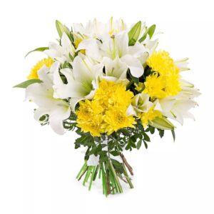 Lily Sunshine