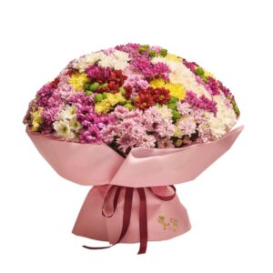 Berry Kiss (50 stems of chrysanthemums)